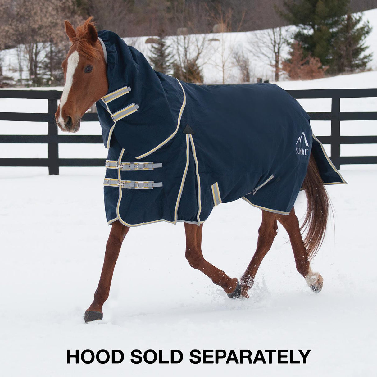 Summit Calor Stable Blanket 100 g – Greenhawk Equestrian Sport