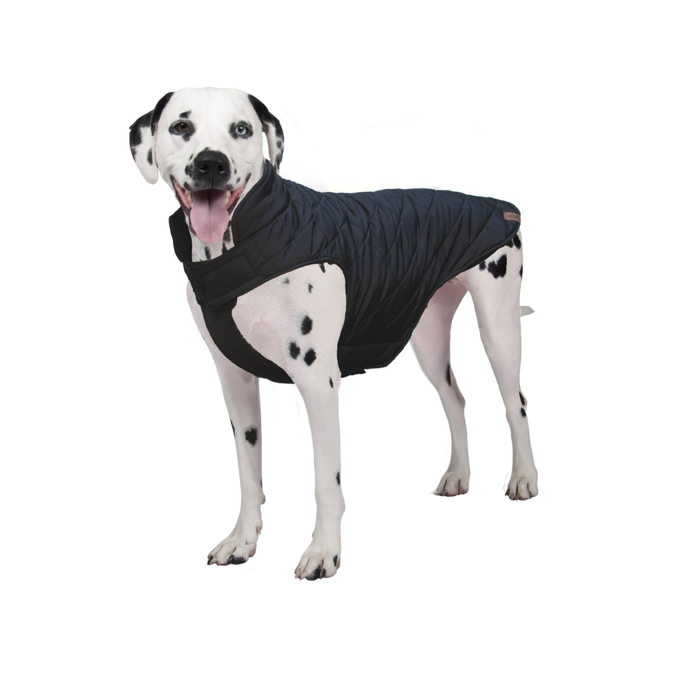 Greenhawk dog coats best sale