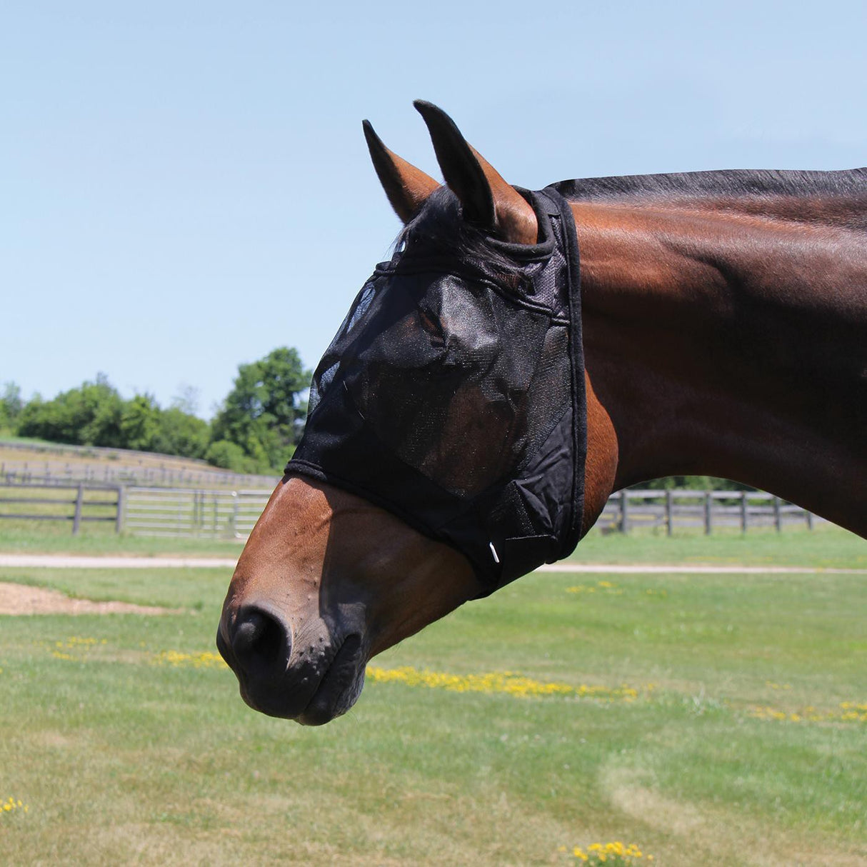 Masque anti-mouches Shedrow