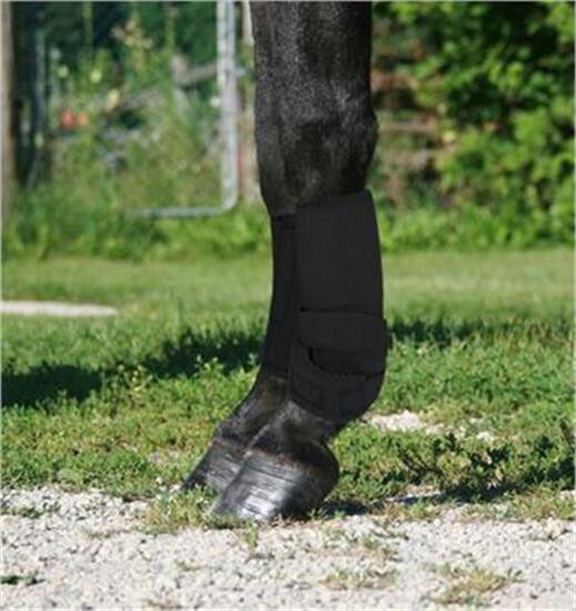 Miniature horse clearance sport boots