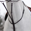 Martingale à anneaux Mondega