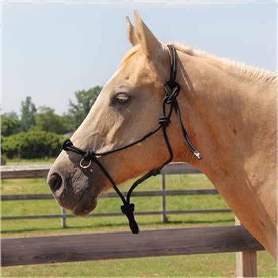 Orders Horse Tack Halter Side Pull With Colombian Handcrafted Braided Reins FAR016GREEN