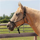 Licou en corde side pull Copper Canyon
