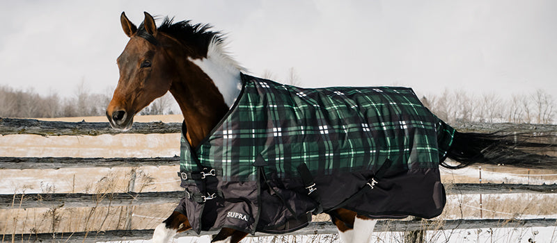 Winter Clearance – Greenhawk Equestrian Sport
