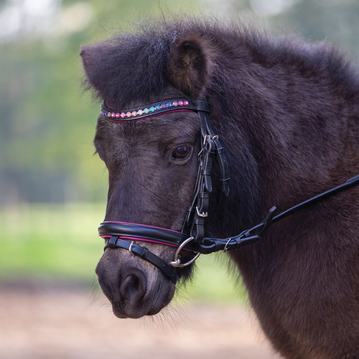 Waldhausen Pinky Star Pony Bridle