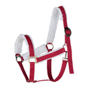 Licou Père Noël Horze
