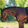Waldhausen W/TrainRein Draw Reins