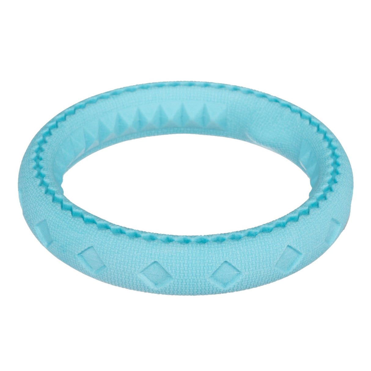 Totally Pooched Chew N' Tug Ring Dog Toy