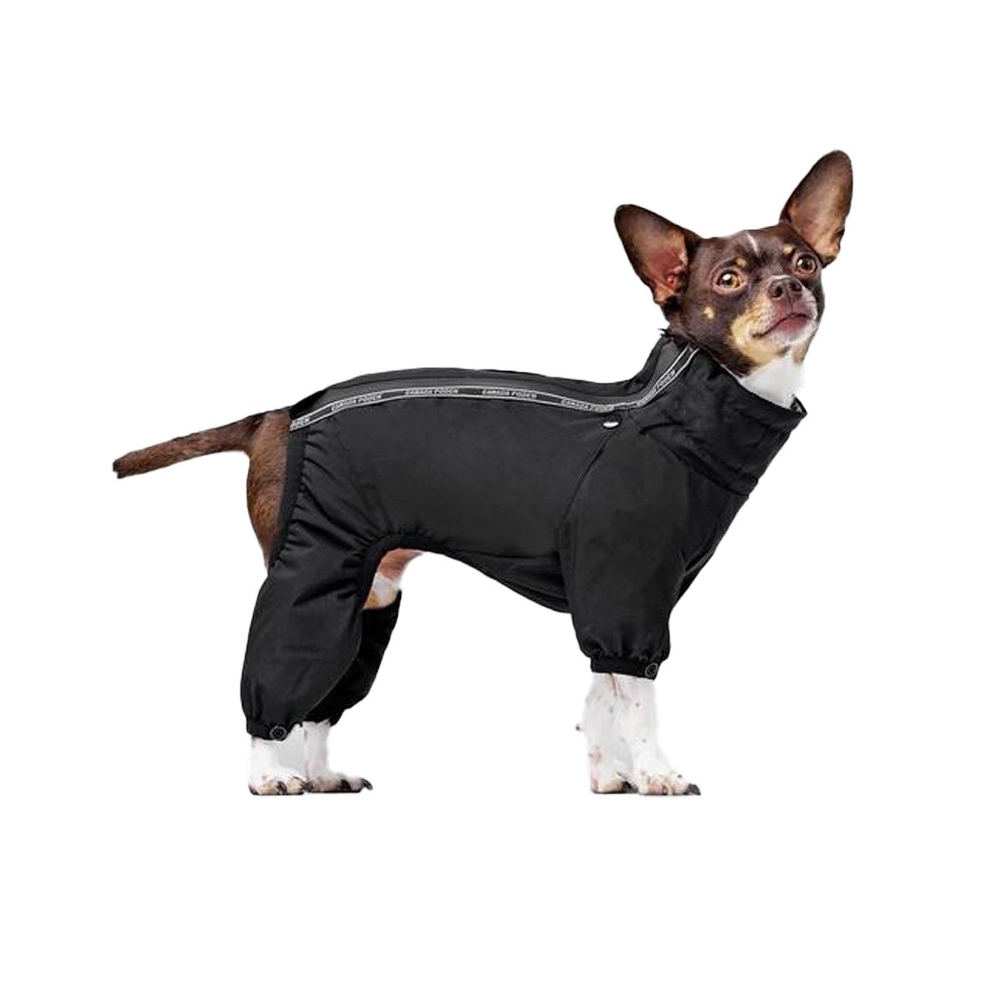 Casual hotsell canine snowsuit