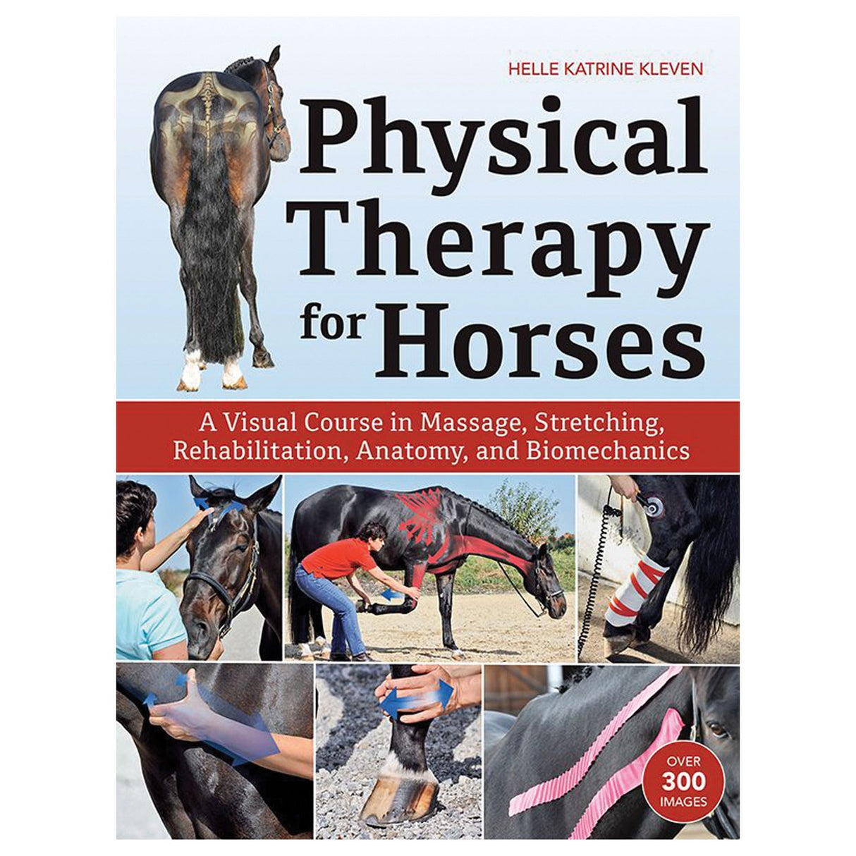 Physiothérapie pour les chevaux