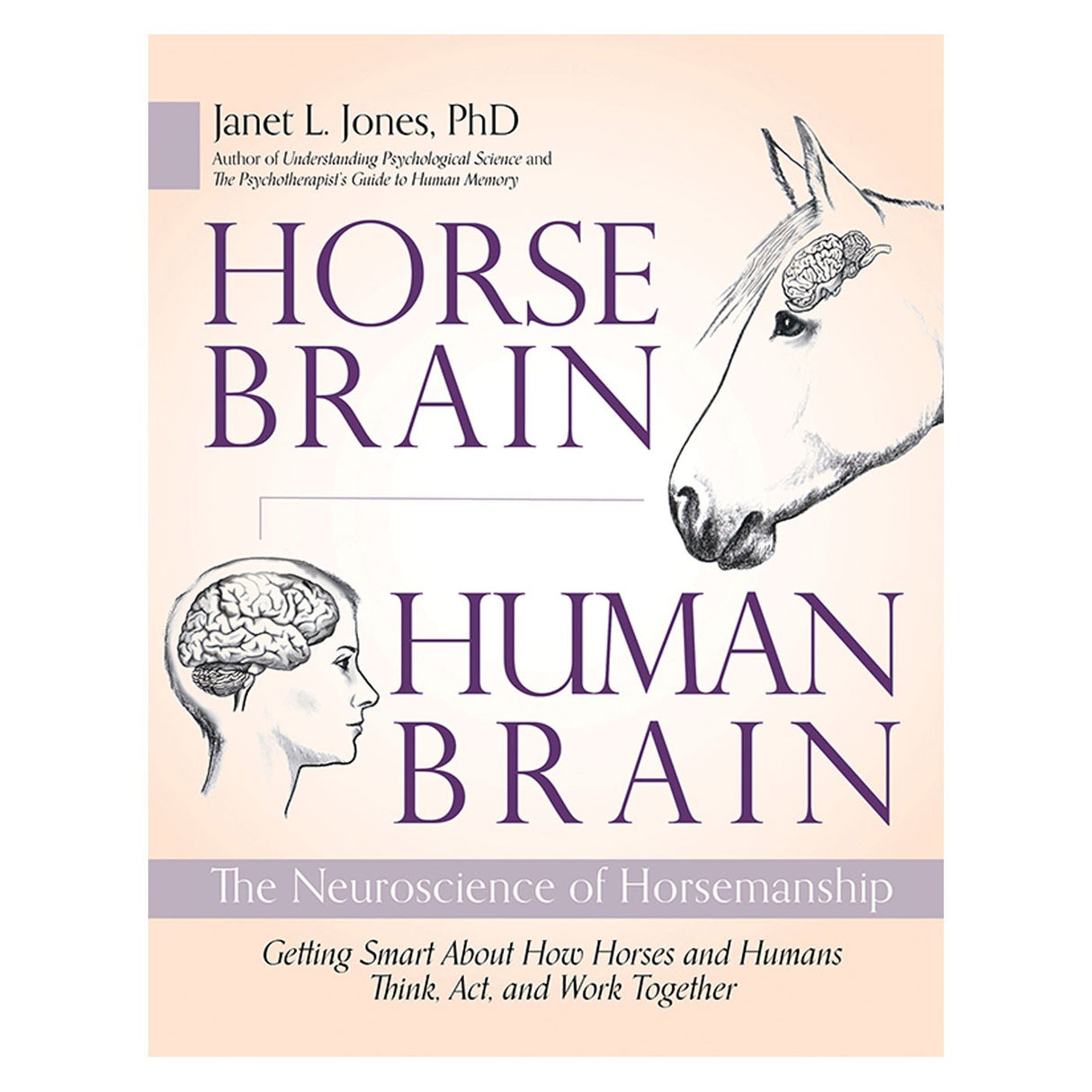 Cerveau de cheval de Trafalgar Square, cerveau humain