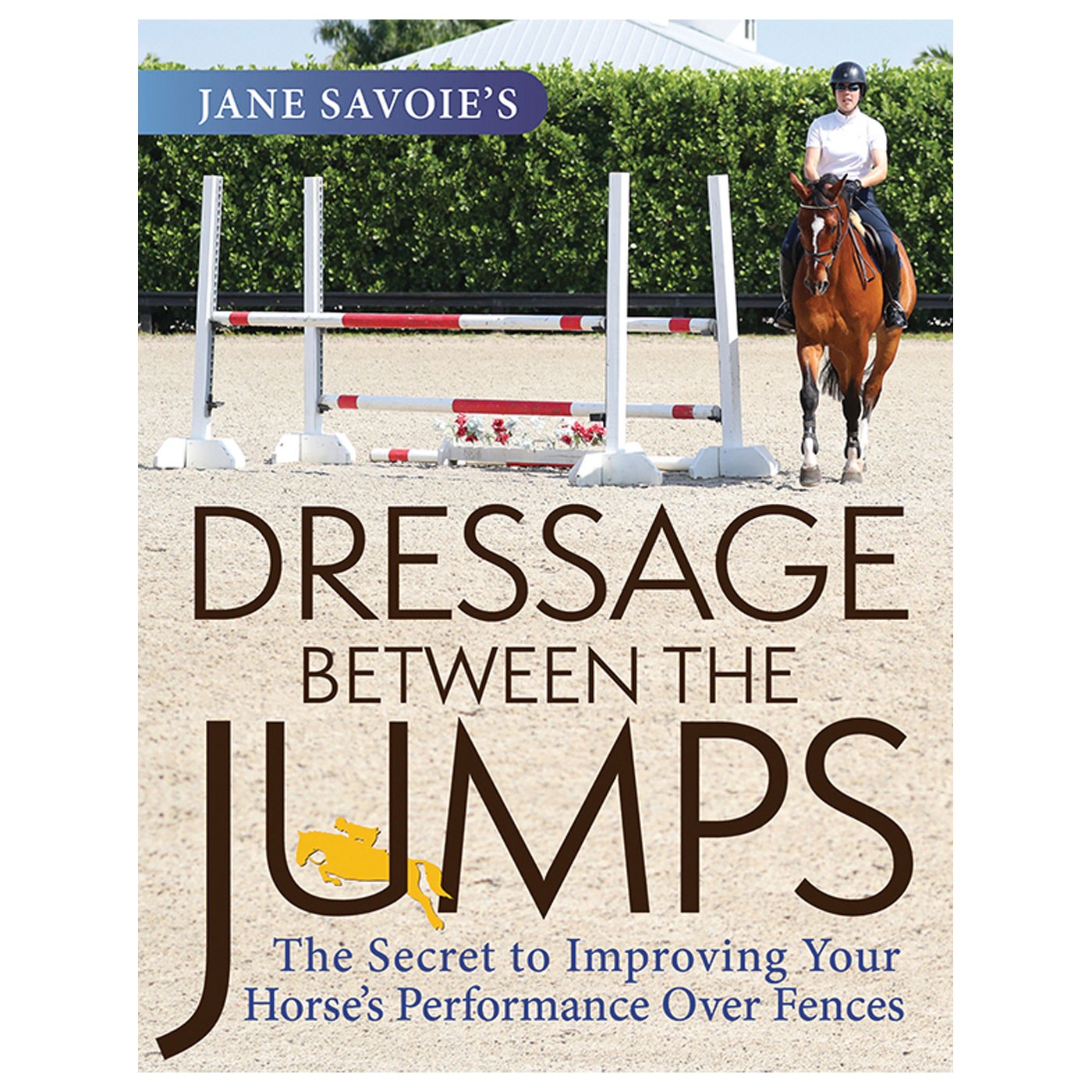 Dressage Between the Jumps – Greenhawk Equestrian Sport
