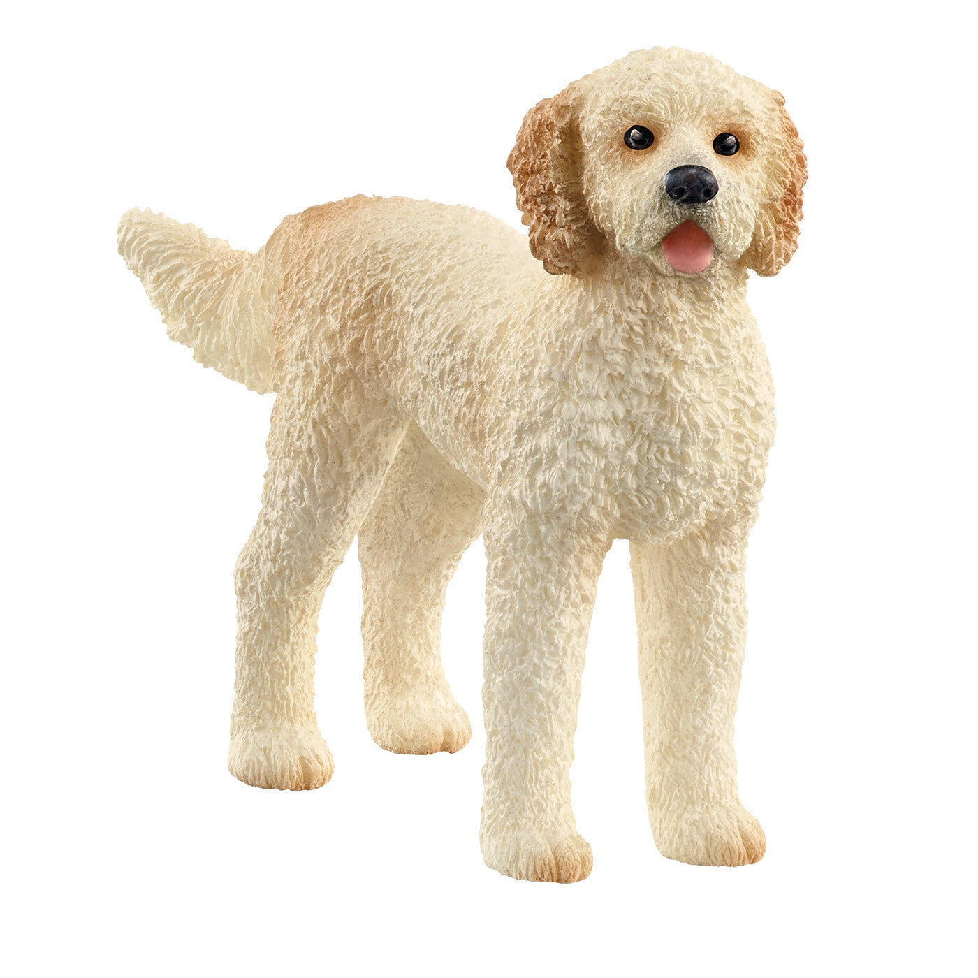 Half golden retriever half clearance poodle