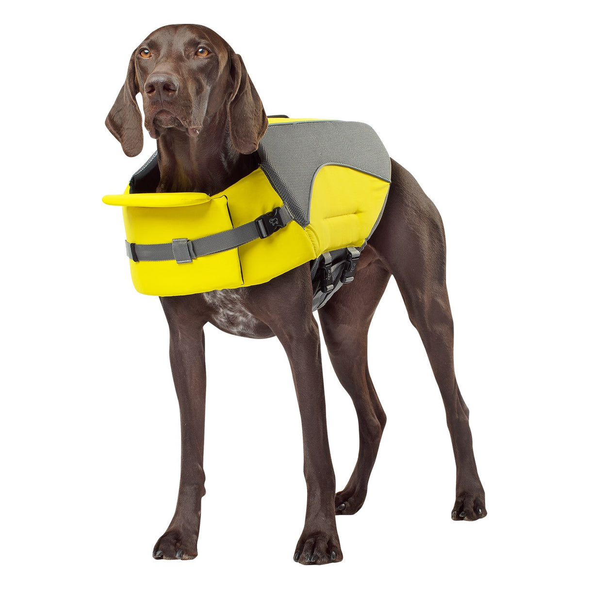 Canada Pooch Wave Rider Dog Life Vest