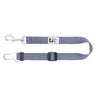 Laisse d’attache Sit Tight – RC Pet