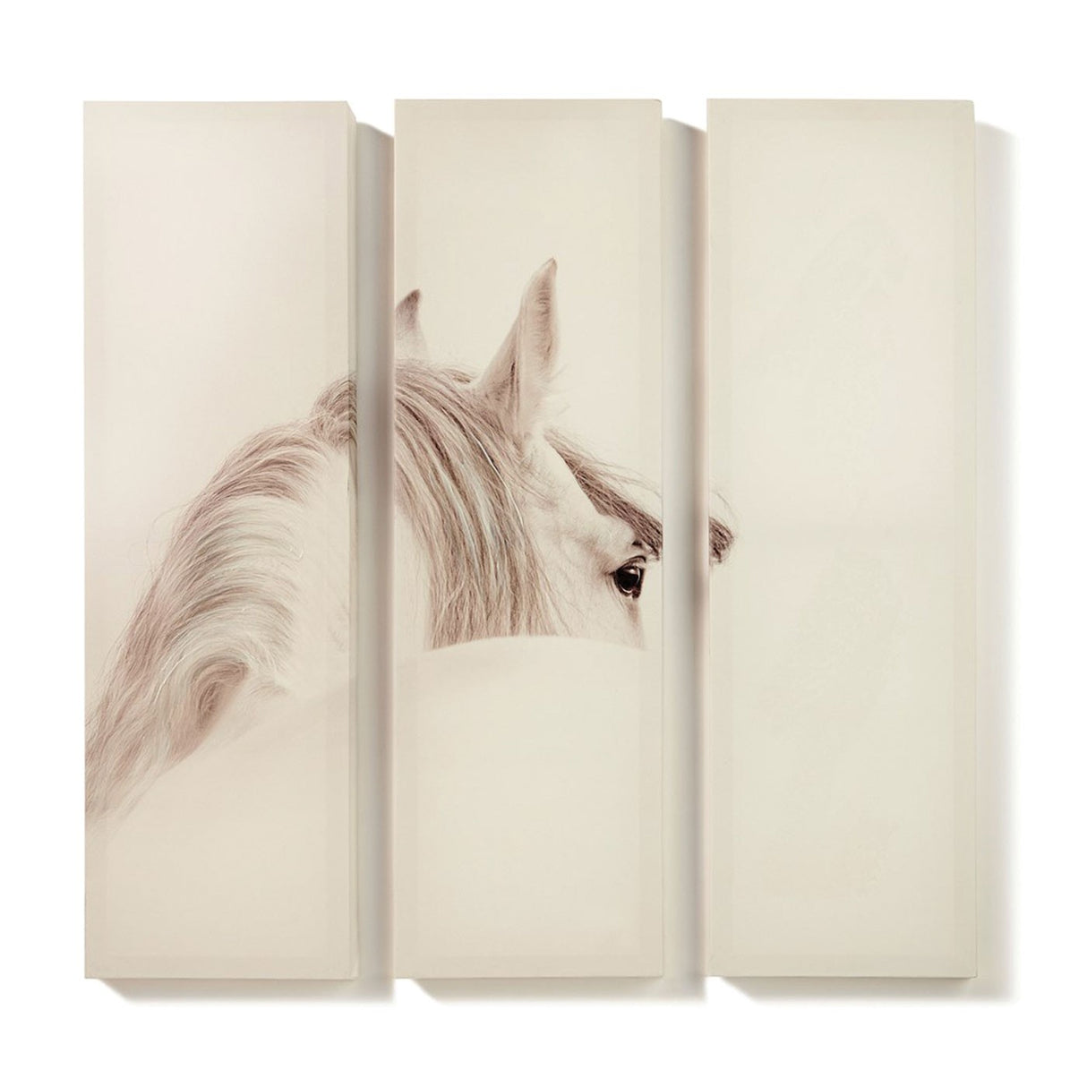 White Horse Canvas Wall Prints - Set of 3