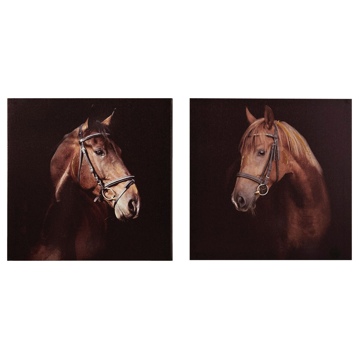 Brown Horse Canvas Wall Prints - Set of 2