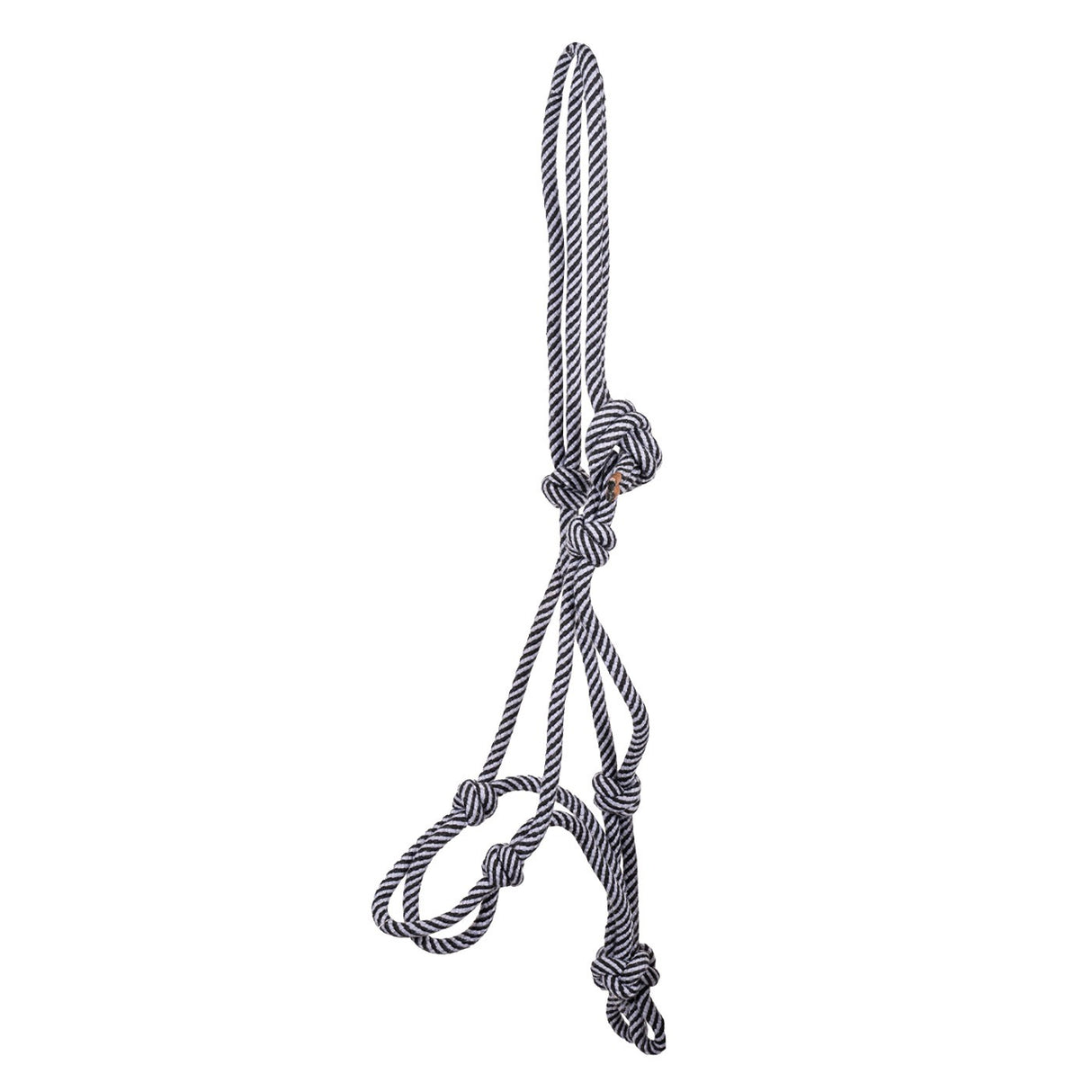 Every Day Essential Rope Halter