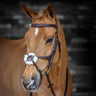 LeMieux Kudos Figure Eight Bridle