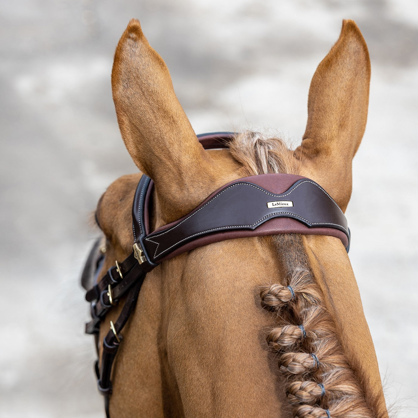 LeMieux Kudos Competition Flash Bridle – Greenhawk Equestrian Sport