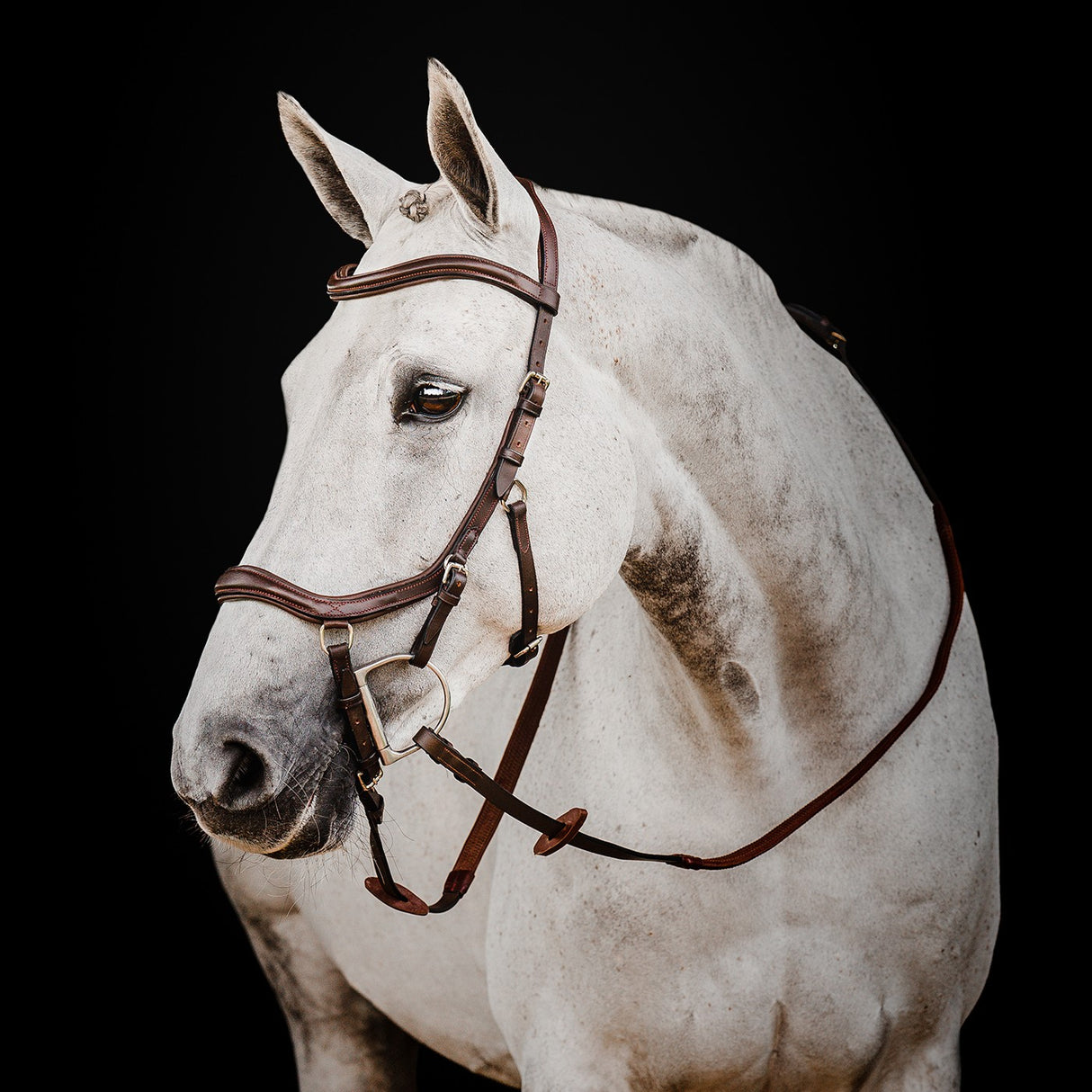 Rambo Micklem Deluxe Competition Bridle W/ Reins
