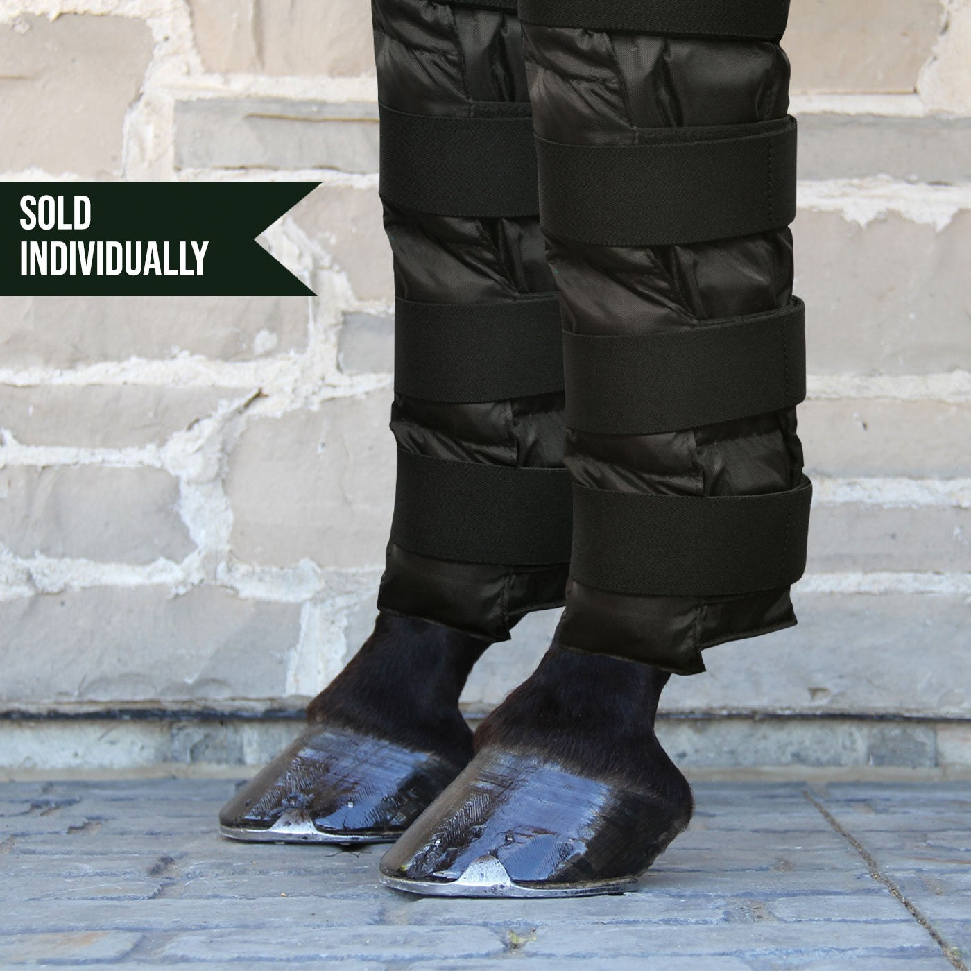 Cold therapy hotsell boots for horses