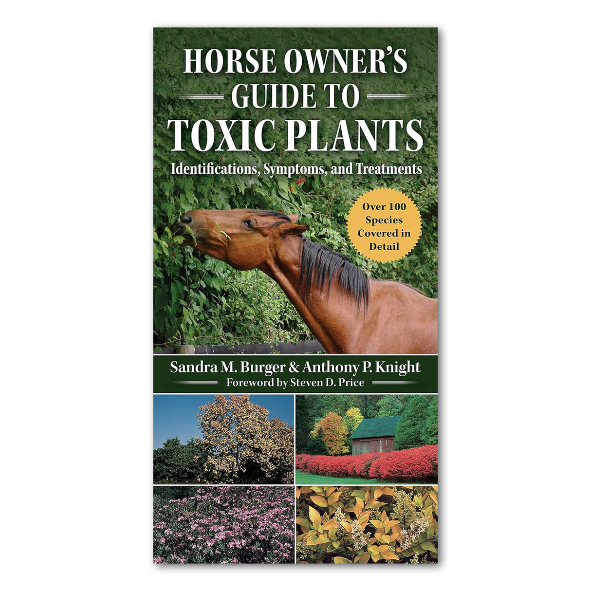 Guide du propriétaire de chevaux sur les plantes toxiques