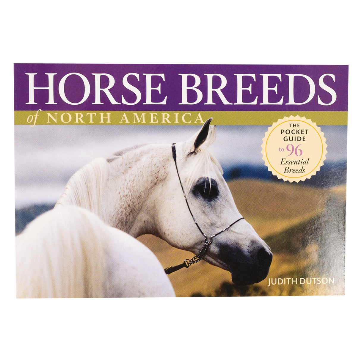 Races de chevaux d'Amérique du Nord