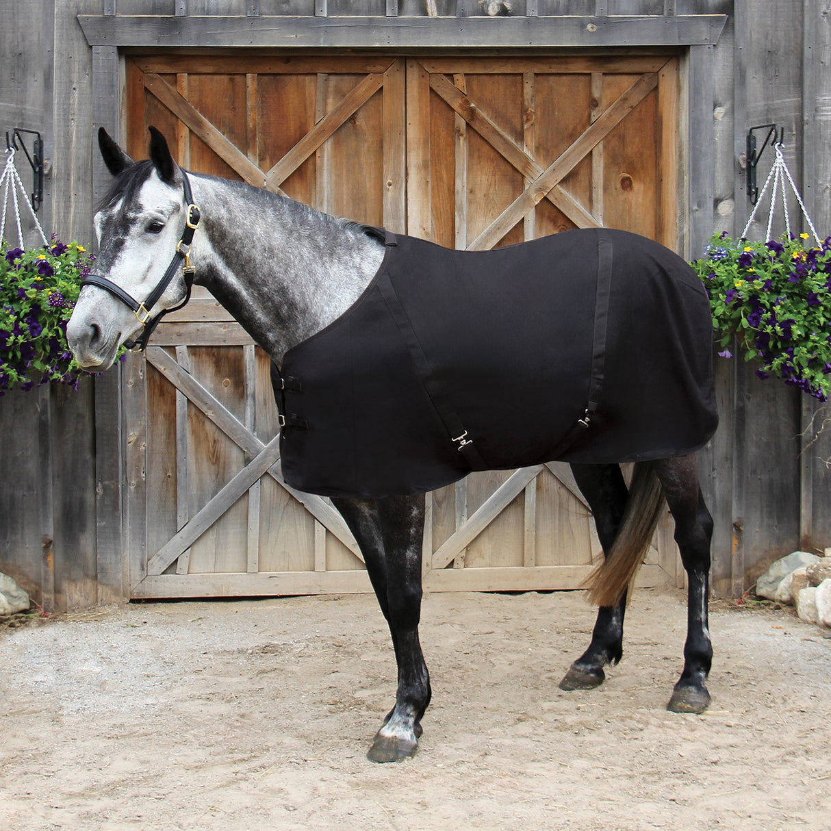 Couverture de refroidissement Supra Wool