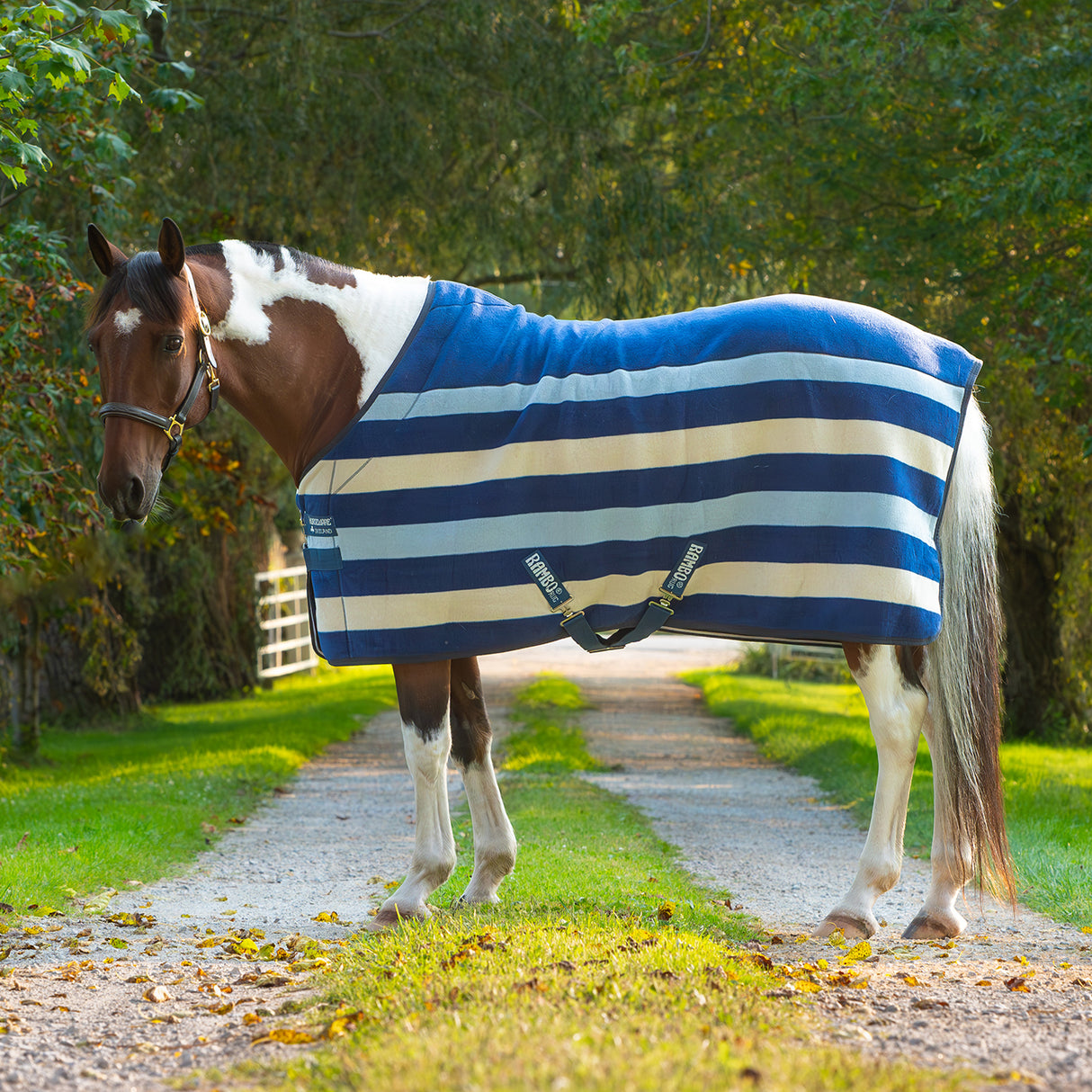 Rambo Deluxe Fleece Cooler