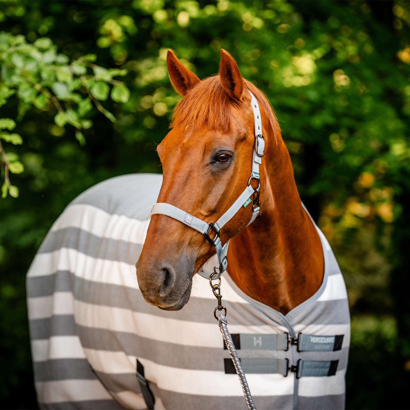 Horseware Newmarket Fleece Cooler – Greenhawk Equestrian Sport Horseware Newmarket Fleece Cooler – Greenhawk Equestrian Sport