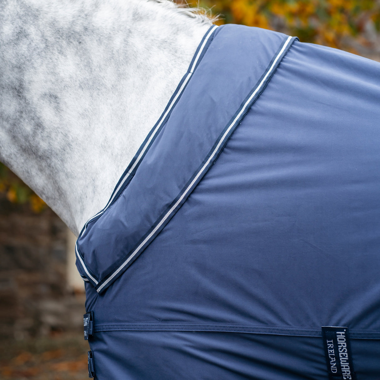 Tapis Horseware Show Ready