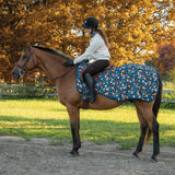 Pumpkin Spice Ponies x Supra Exercise Sheet