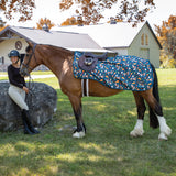 Pumpkin Spice Ponies x Supra Exercise Sheet