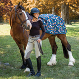 Pumpkin Spice Ponies x Supra Exercise Sheet