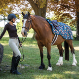 Pumpkin Spice Ponies x Supra Exercise Sheet