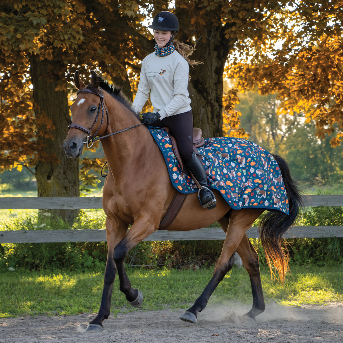 Pumpkin Spice Ponies x Supra Exercise Sheet