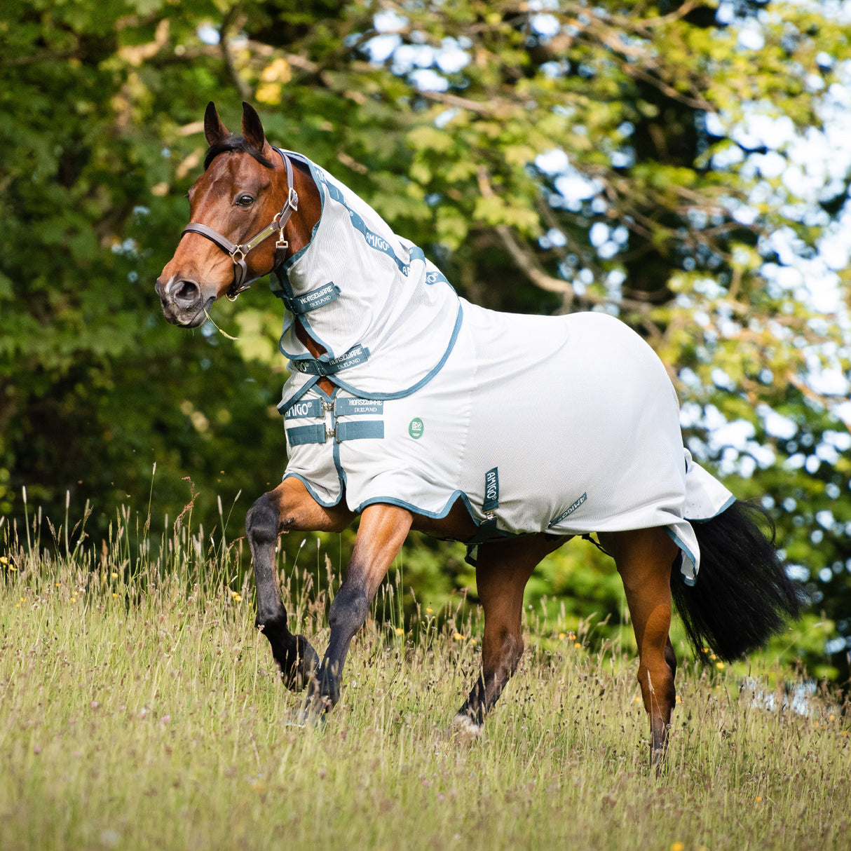 Chemise anti-mouches Amigo AmEco Bug Rug - OE