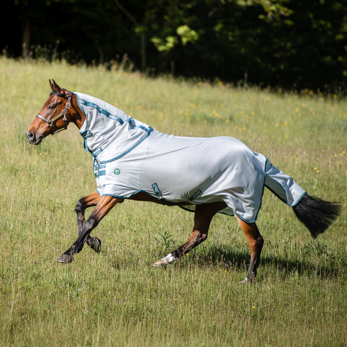 Chemise anti-mouches Amigo AmEco Bug Rug - OE