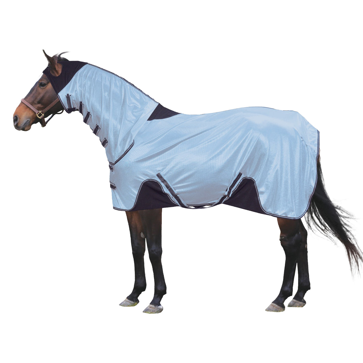 Century Easy Move Fly Sheet