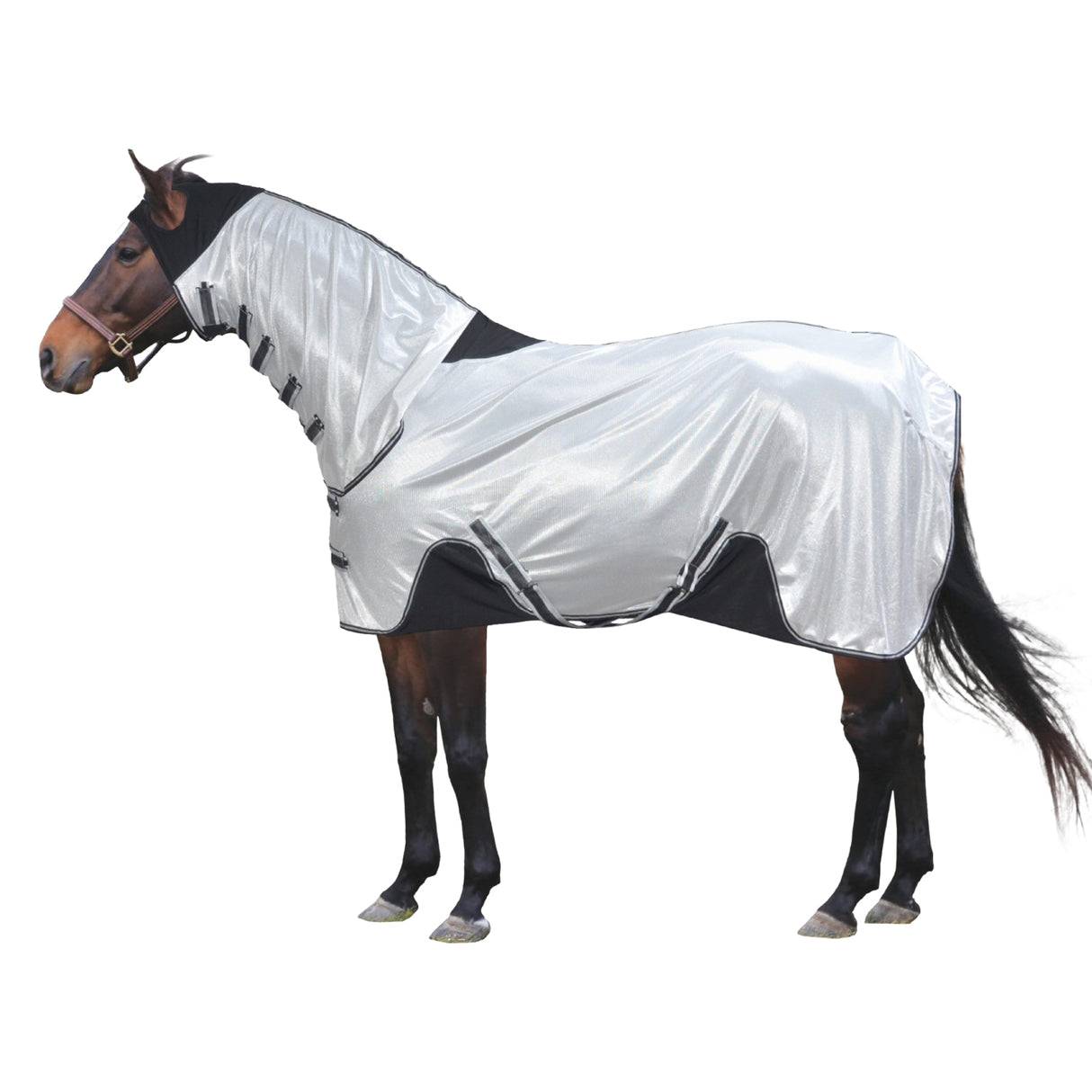 Century Easy Move Fly Sheet