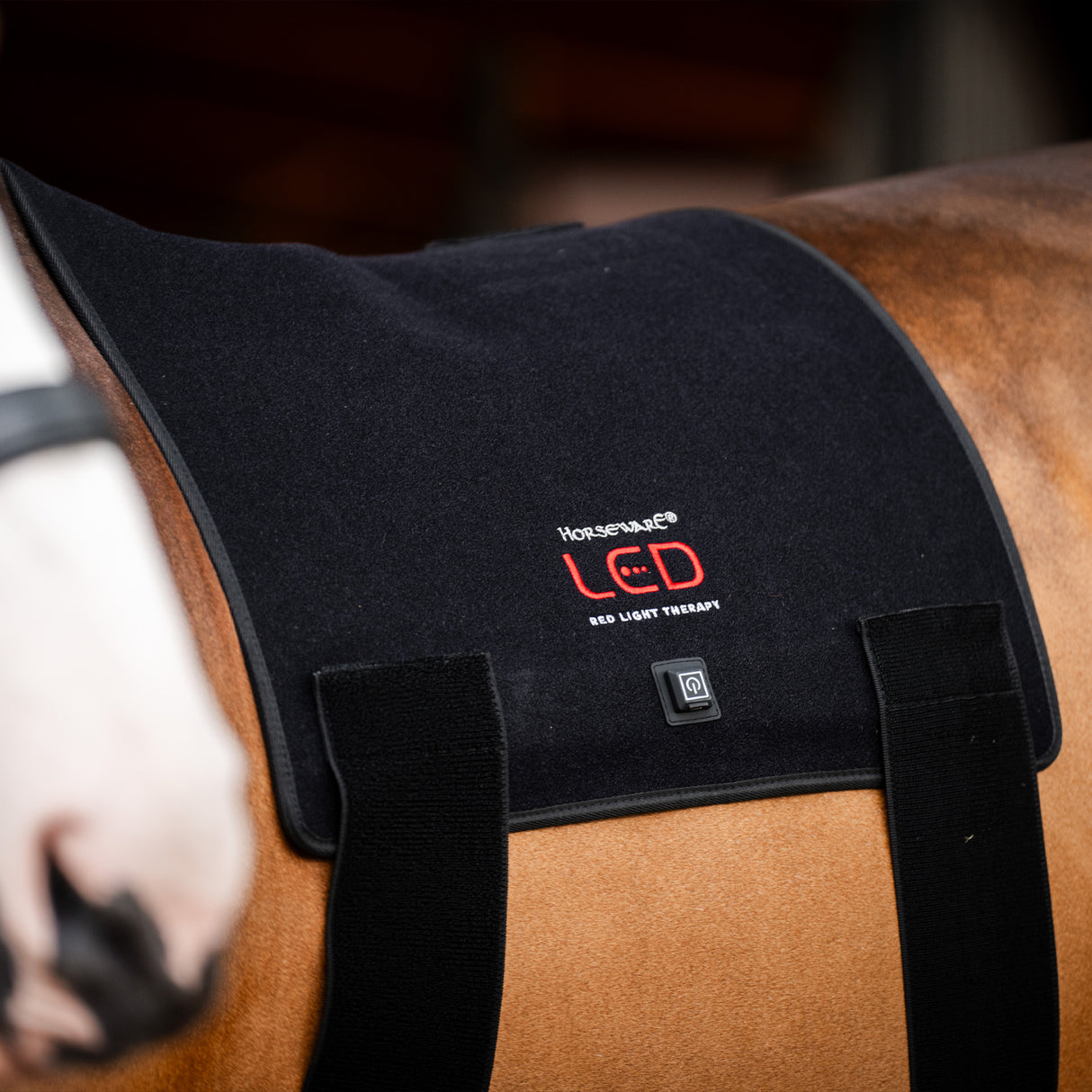 Horseware LED Red Light Therapy Pad