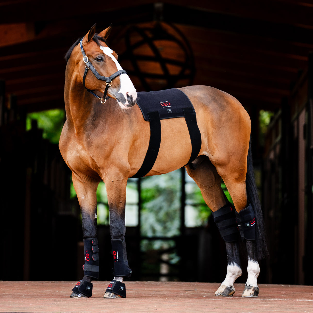 Horseware LED Red Light Therapy Pad