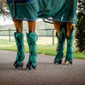 Guêtres de transport Signature Horseware