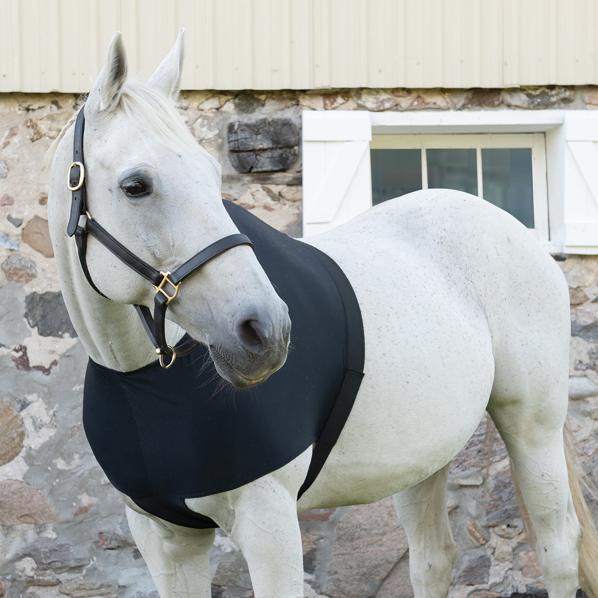 Shedrow Lycra Shoulder Guard