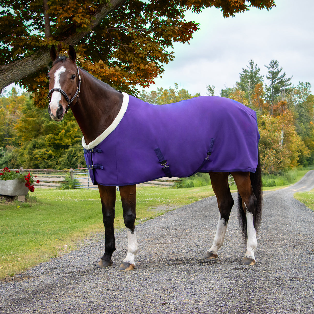 Couverture de refroidissement Soft Shell Shedrow