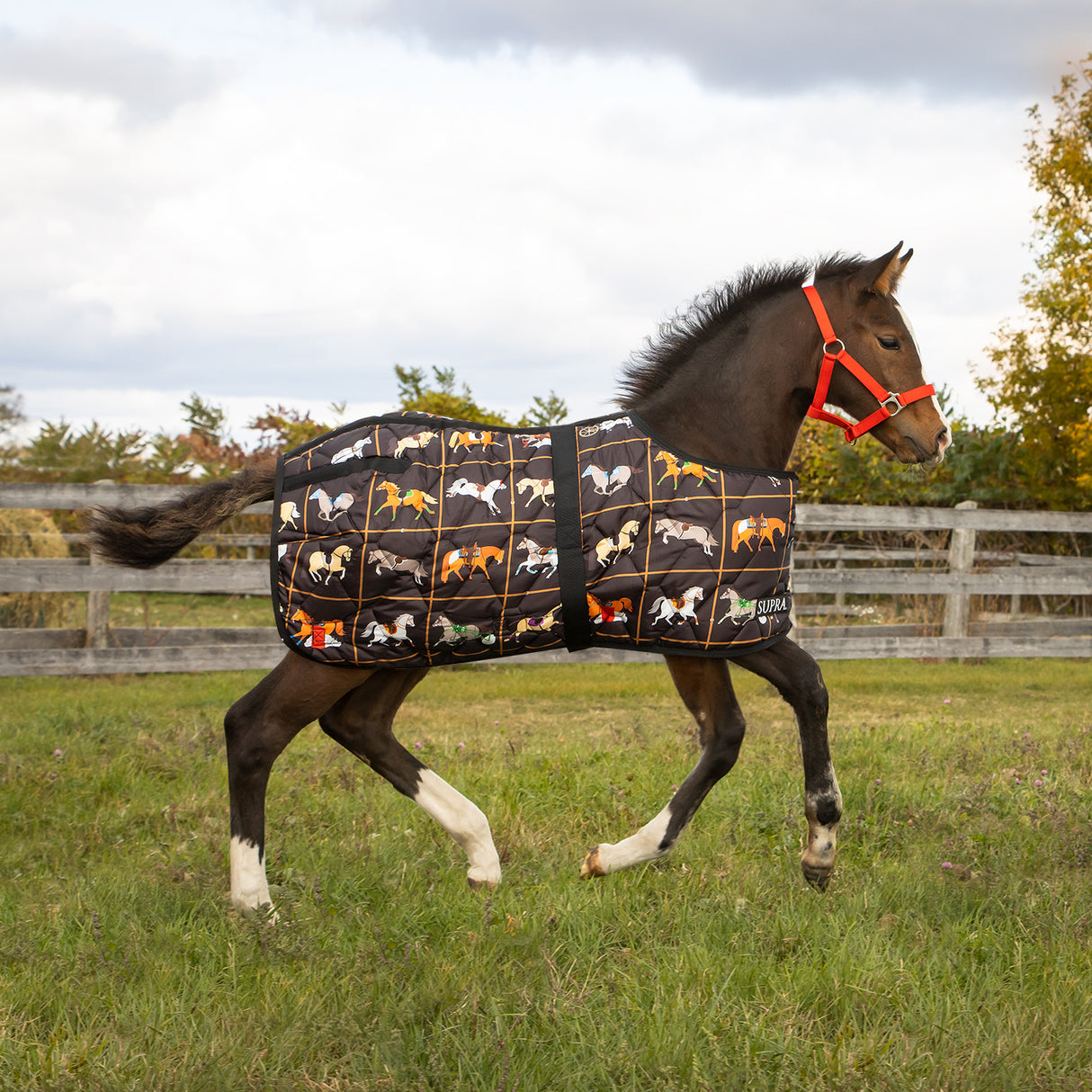 Supra Foal Blanket 300 g