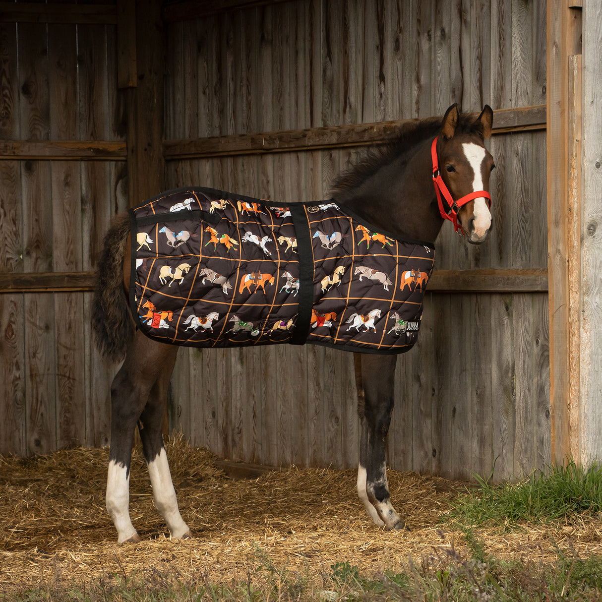Supra Foal Blanket 300 g