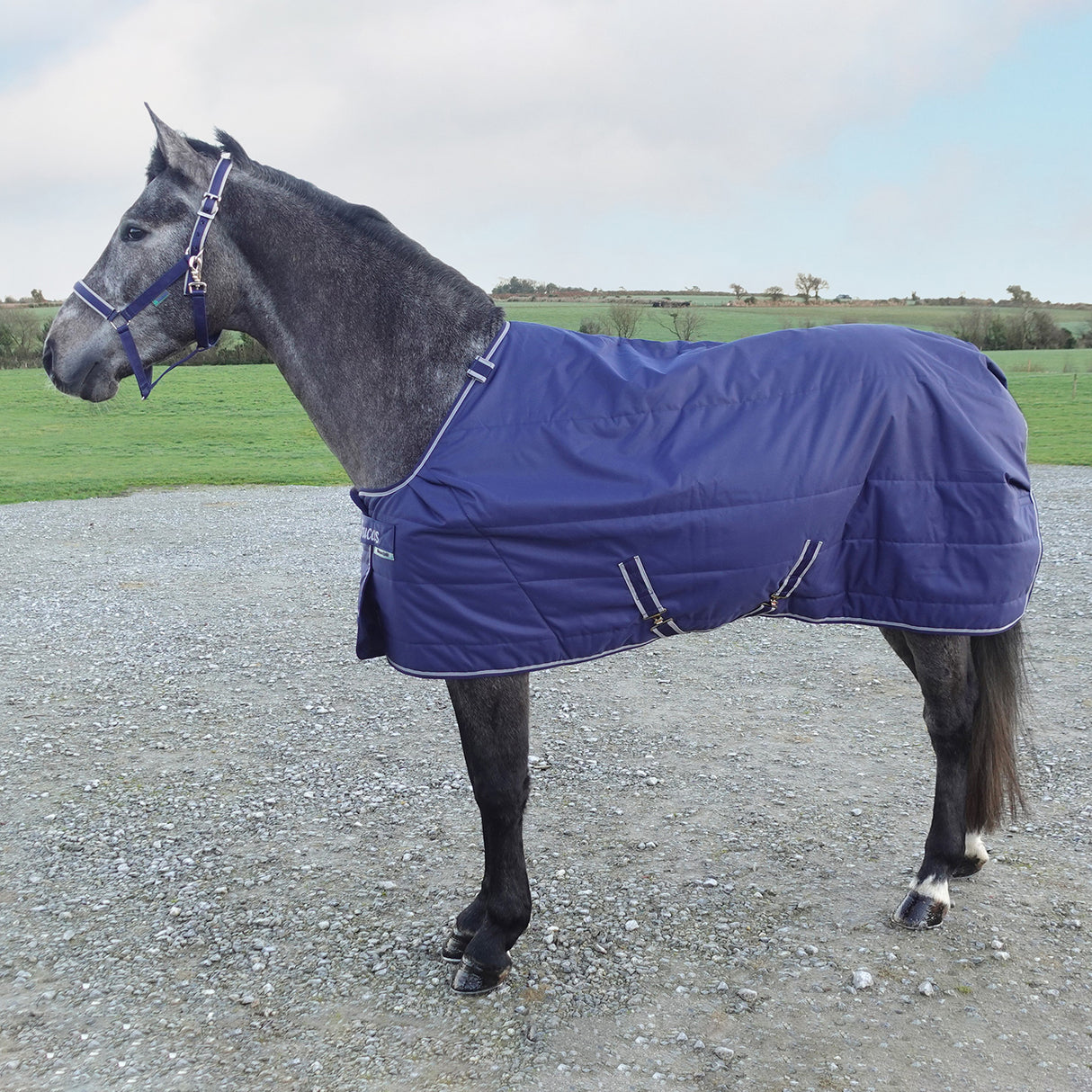 Bucas Select Quilted Stable Blanket - RIDE