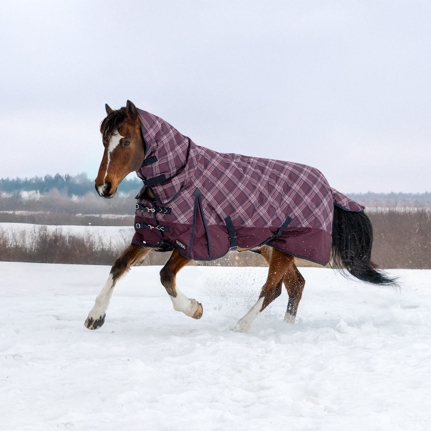 Supra Full Neck Turnout Blanket 300 g – Greenhawk Equestrian Sport